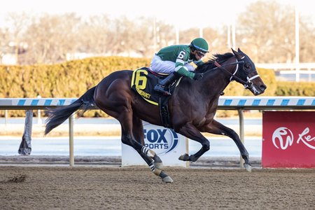 Captain Cook wins the Withers Stakes at Aqueduct Racetrack