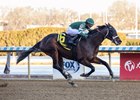 Captain Cook wins the 2025 Withers Stakes at Aqueduct Racetrack