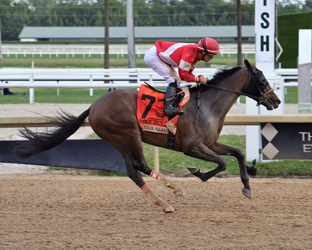 Holy Bull Stakes winner Burnham Square is the lone horse out of that race entered in the Fountain of Youth Stakes