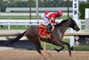 Burnham Square wins the 2025 Holy Bull Stakes at Gulfstream Park