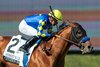 Citizen Bull and jockey Martin Garcia win the G3, $200,000 Robert B. Lewis Stakes, Saturday, February 1, 2025 at Santa Anita Park, Arcadica CA.
&#169; BENOIT PHOTO