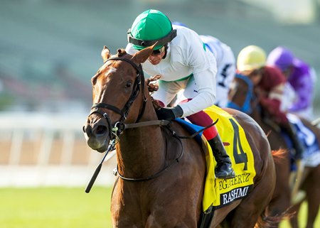 Rashmi wins the 2025 Megahertz Stakes at Santa Anita Park