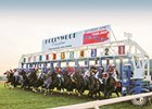 The horses leave the starting gate at Penn National on June 1, 2013.
