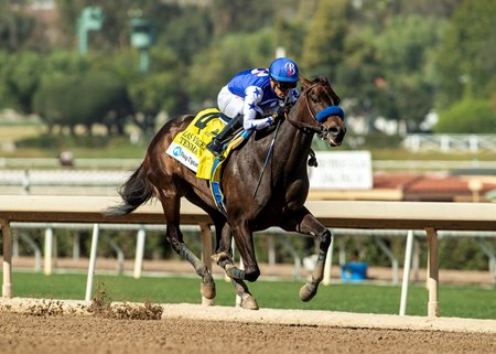 Tenma wins the Las Virgenes Stakes at Santa Anita Park