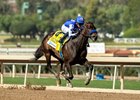 Tenma and jockey Juan Hernandez win the Grade III, $100,000 Fasig Tipton Las Virgenes Stakes, Sunday, February 2, 2025 at Santa Anita Park, Arcadia CA.
&#169; BENOIT PHOTO