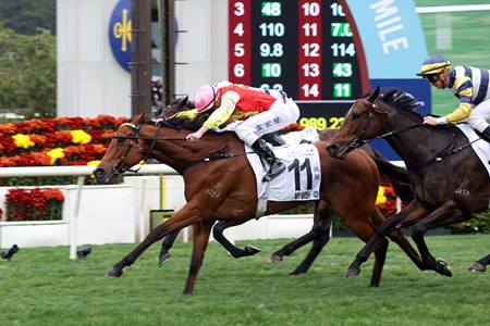 My Wish wins the Hong Kong Classic Mile at Sha Tin Racecourse
