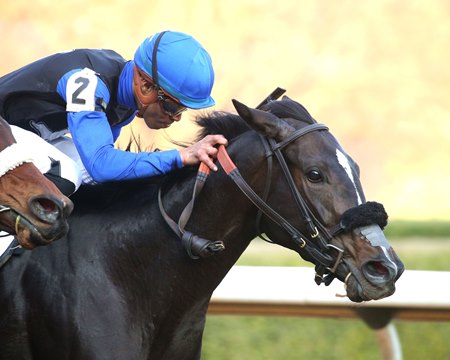 Wild Bout Hilary wins the Bayakoa Stakes at Oaklawn Park