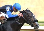 WILD BOUT HILARY wins the 2025 Bayakoa Stakes at Oaklawn Park