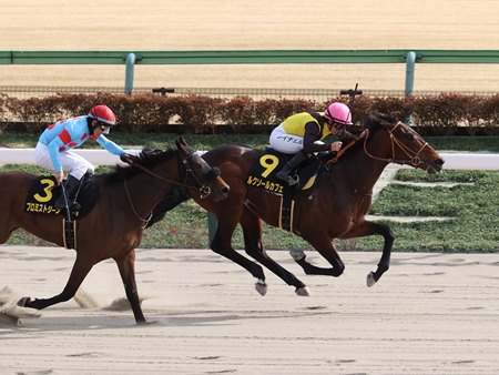 Luxor Cafe wins the Hyacinth Stakes at Tokyo Racecourse