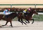 Luxor Cafe wins the 2025 Hyacinth Stakes at Tokyo Racecourse