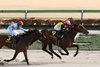 Luxor Cafe wins the 2025 Hyacinth Stakes at Tokyo Racecourse