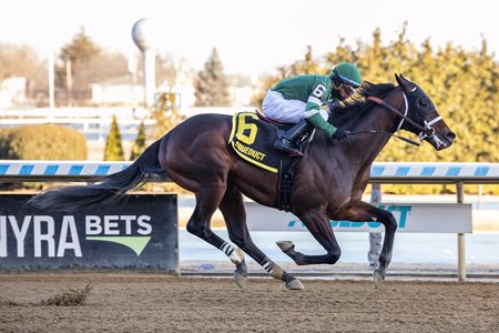 Captain Cook wins the Withers Stakes at Aqueduct Racetrack