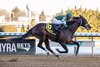 Captain Cook wins the 2025 Withers Stakes at Aqueduct Racetrack