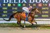 Touchuponastar with Timothy Thornton aboard won the $150,000 LA Premier Night Championship Stakes at Delta Downs Racetrack. Touchuponastar is owned by Set-Hut, LLC and Conditioned by Jeff Delhomme.
Photo Credits: Hodges Photography/ Paula Tindall/ Landen Carrier