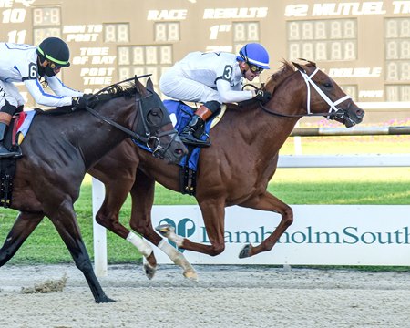  John Hancock defeats Owen Almighty in the Sam F. Davis Stakes at Tampa Bay Downs