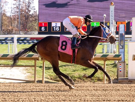 Suga Steve breaks his maiden in 2023 at Laurel Park