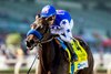 Tenma and jockey Juan Hernandez win the Grade III, $100,000 Fasig Tipton Las Virgenes Stakes, Sunday, February 2, 2025 at Santa Anita Park, Arcadia CA.
&#169; BENOIT PHOTO