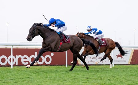 Rebel's Romance wins the Amir Trophy at Al Uqda Racecourse in Qatar