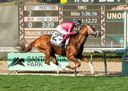 There Goes Harvard wins the San Marcos Stakes at Santa Anita Park