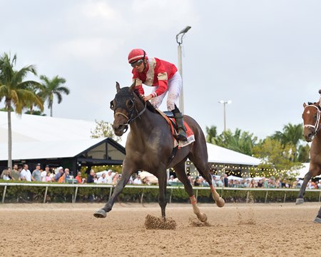 Burnham Square wins the Holy Bull Stakes at Gulfstream Park