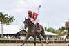 Burnham Square wins the 2025 Holy Bull Stakes at Gulfstream Park