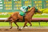 Frank Bullitt, Maiden Win, Los Alamitos Race Course, December 14 2024