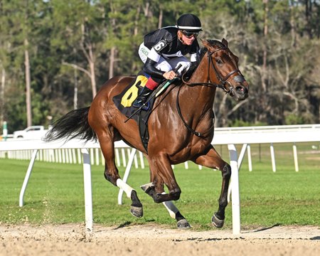 La Cara wins the Suncoast Stakes at Tampa Bay Downs