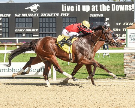 Nic's Style (outside) wins the Minaret Stakes at Tampa Bay Downs