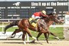 Nic&#39;s Style wins the 2025 Minaret Stakes at Tampa Bay Downs