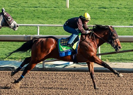 Barnes working earlier in the year at Santa Anita Park