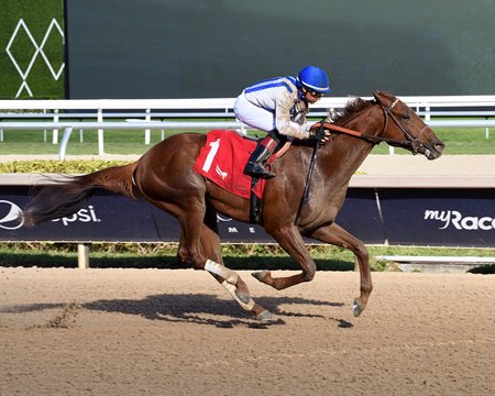 Multiverse breaks his maiden at Gulfstream Park