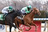 Sand Devil wins the 2025 Damon Runyon Stakes at Aqueduct Racetrack