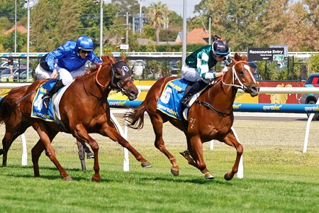 Devil Night (inside) wins the Blue Diamond Stakes at Caulfield Racecourse