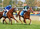 Devil Night wins the 2025 Blue Diamond Stakes
ridden by Michael Dee and trained by John, Michael &amp; Wayne Hawkes