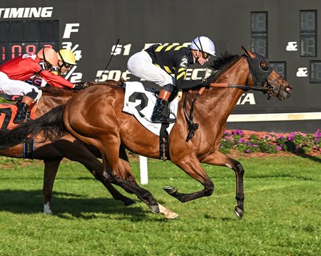 Running Bee wins the Tampa Bay Stakes at Tampa Bay Downs