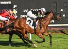 Running Bee wins the 2025 Tampa Bay Stakes at Tampa Bay Downs