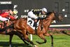 Running Bee wins the 2025 Tampa Bay Stakes at Tampa Bay Downs