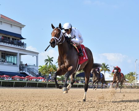 River Thames crosses the wire with ears pricked in winning an allowance optional claiming race at Gulfstream Park