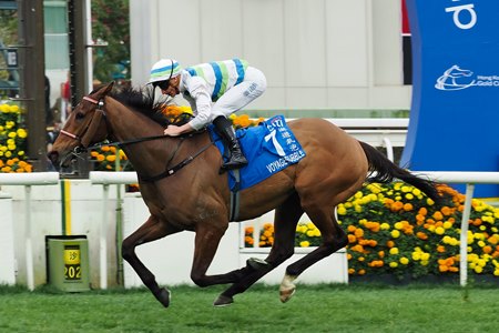 Voyage Bubble wins the Hong Kong Gold Cup at Sha Tin