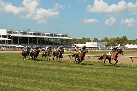 Racing at Tampa Bay Downs