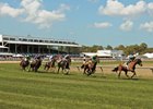 Tampa Bay Downs scene