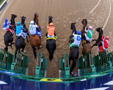 Equibase is collecting ideas on how to provide a ratings system for North American racing