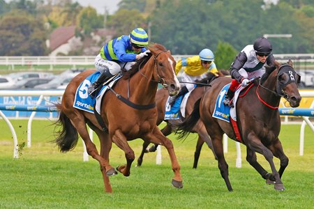 Another Wil (left) surges to win the C.F. Orr Stakes at Caulfield Racecourse