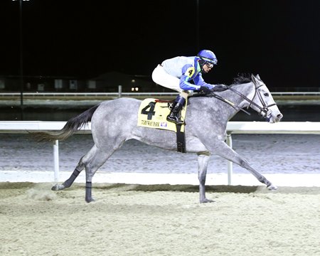 White Rocks wins the Cincinnati Trophy Stakes at Turfway Park