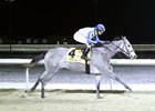 White Rocks wins the 2025 Cincinnati Trophy Stakes at Turfway Park