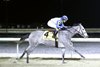 White Rocks wins the 2025 Cincinnati Trophy Stakes at Turfway Park