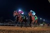 Forever Young wins the 2025 Saudi Cup at King Abdulaziz Racetrack