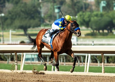 Citizen Bull wins the Robert B. Lewis Stakes at Santa Anita Park