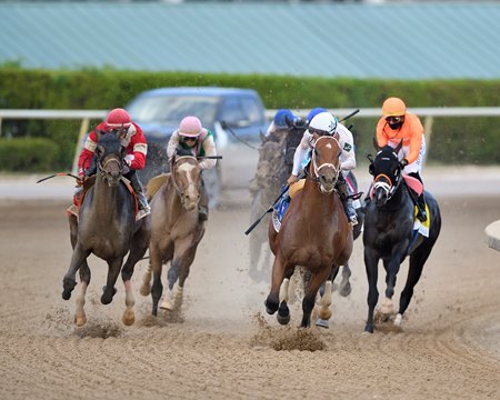 Burnham Square (far left) rallies to win the Holy Bull Stakes at Gulfstream Park