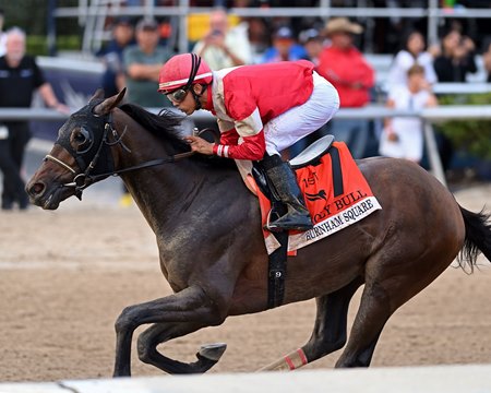 Burnham Square wins the Holy Bull Stakes at Gulfstream Park